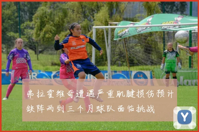 弗拉霍维奇遭遇严重肌腱损伤预计缺阵两到三个月球队面临挑战