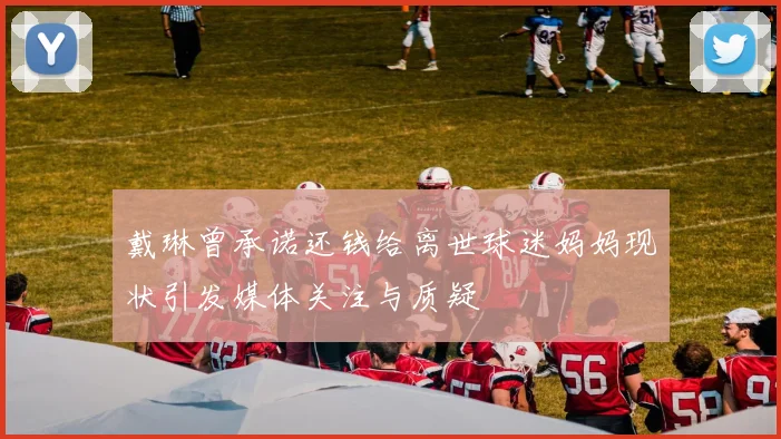 戴琳曾承诺还钱给离世球迷妈妈现状引发媒体关注与质疑