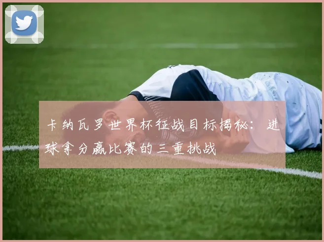 卡纳瓦罗世界杯征战目标揭秘：进球拿分赢比赛的三重挑战