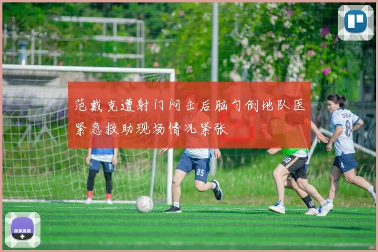范戴克遭射门闷击后脑勺倒地队医紧急救助现场情况紧张