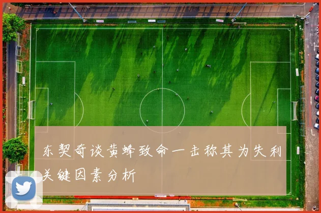 东契奇谈黄蜂致命一击称其为失利关键因素分析