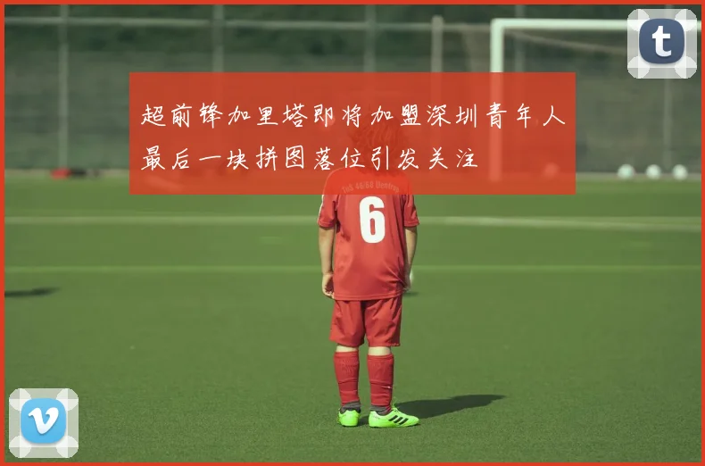 超前锋加里塔即将加盟深圳青年人最后一块拼图落位引发关注